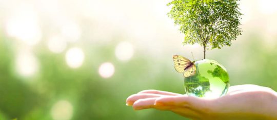 environnement